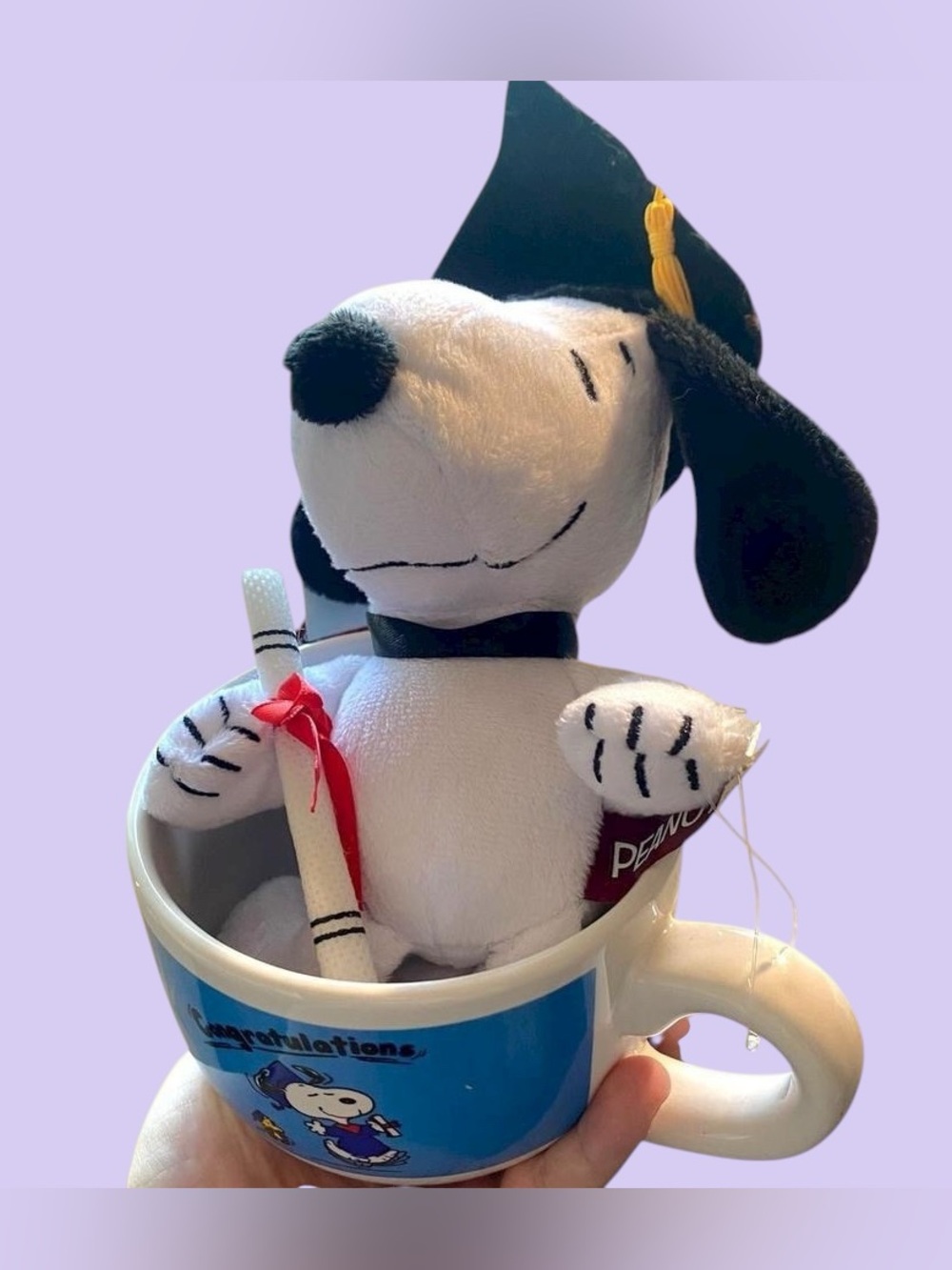 Snoopy Graduation Gift Mug and Plush Set NWT